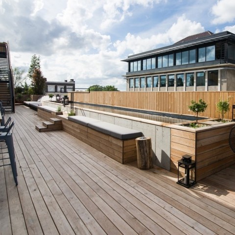Pool Jam Hotel Brussels - Olivia Gustot Architectes